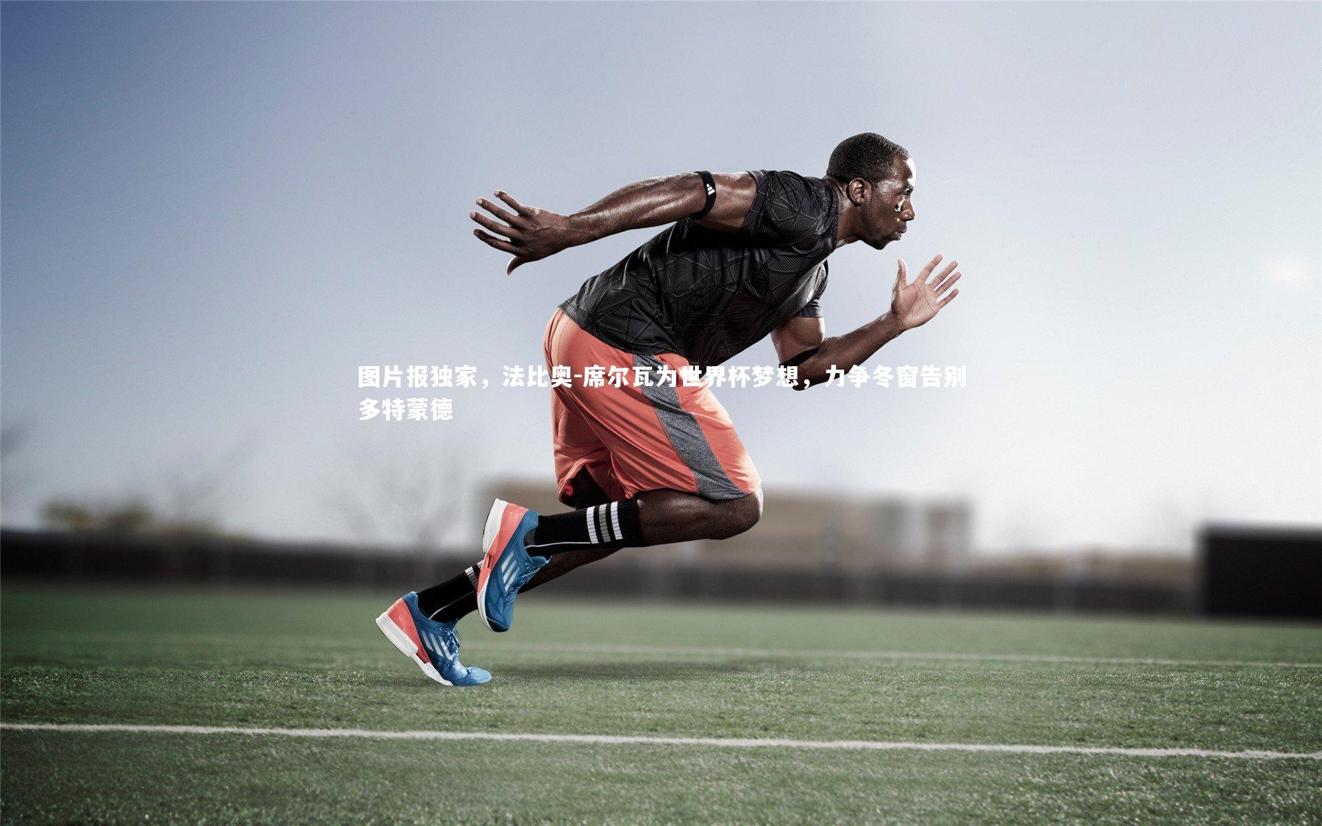 图片报独家，法比奥-席尔瓦为世界杯梦想，力争冬窗告别多特蒙德